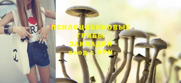 ешки Волоколамск