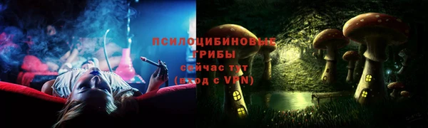 тгк Верея