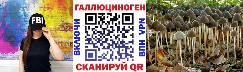 цены наркотик  Батайск  Галлюциногенные грибы Cubensis 
